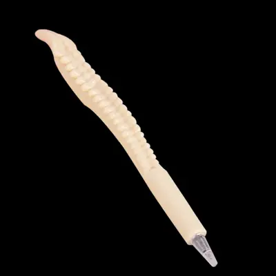 Korean Style Realistic Bone-Shaped Ballpoint Pen, Student Prize - 12