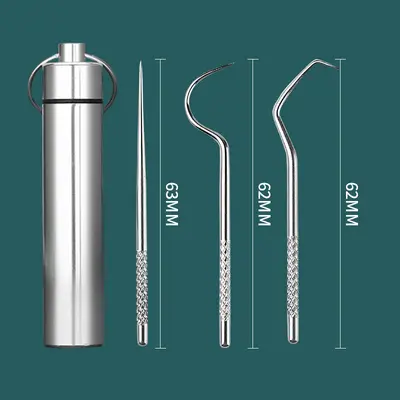 Toothpick set, 304 stainless steel, portable - 11