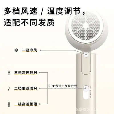 Negative Ion Hair Dryer, High Power, Quiet, Constant Temperature