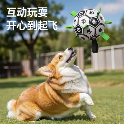 Bite-Resistant Dog Ball Toy for Border Collie, Labrador and Corgi - 4