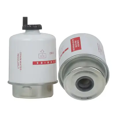 Dieselfilterelement 31863, 30 Mikron - 2