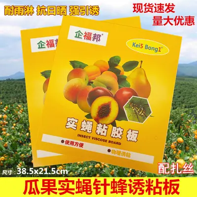 Sticky Fruit Fly Trap for Orchards and Vegetable Fields - 1