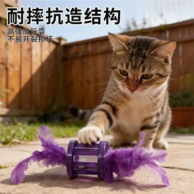 Cat Toy Ball, Self-Play, Durable