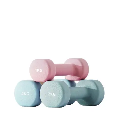 Dumbbell set, solid iron, children and students, adjustable weight