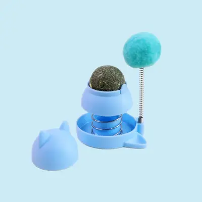 Cat Toys Set with Catnip Balls, Teething Sticks, Teaser Wands, Matatabi - 13