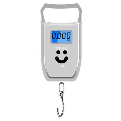 50kg Electronic Scale with Hook for Fishing