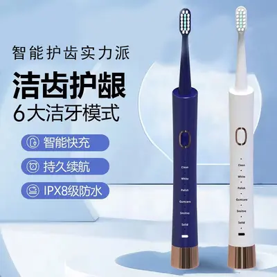 Rechargeable Waterproof Ultrasonic Electric Toothbrush, Couple Set