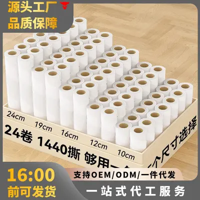 Tear-off paper lint remover, refill cores