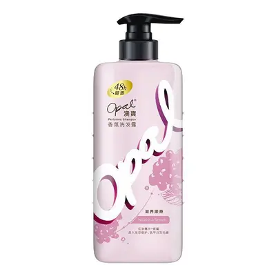 Aobao Shampoo 480 g, langanhaltender Duft, Anti-Schuppen, Fettkontrolle - 6