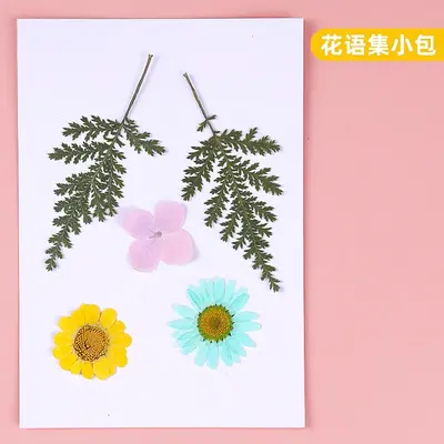 Dried and Pressed Flower DIY Material Pack for Resin Crafts - 9
