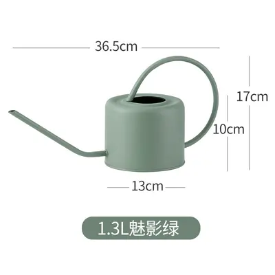Iron Watering Can with Long Spout, Fine Nozzle for Succulents, Household and Garden - 11