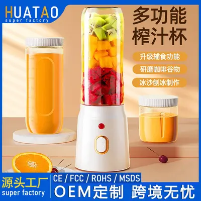 Portable Electric Fruit Juicer and Blender