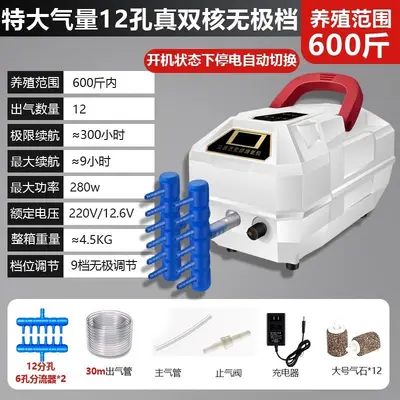 Rechargeable Outdoor Oxygen Pump, Lithium Battery, AC/DC - 11