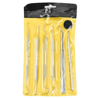 Stainless Steel Dental Scaler Set with Endoscope Probe