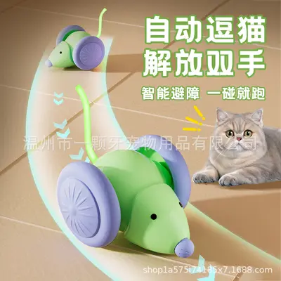Kedi oyuncağı elektrikli fare, otomatik koşan araba ve kendi kendine oynayan kedi oltası