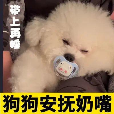 Pacifier Chew Toy for Bichon Frise, Soothing Toy for Small Breed Puppies