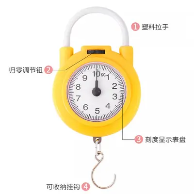 Portable Mini Hook Household Digital Spring Scale