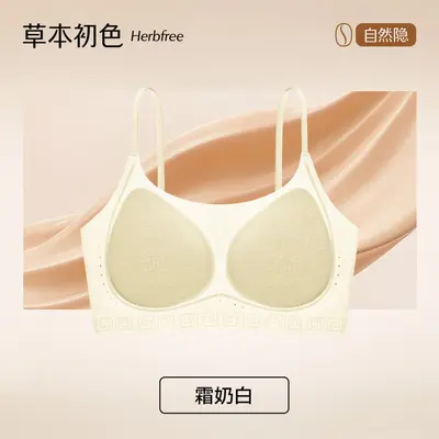 Seamless Invisible Women's Bra, Small Bust Gathering 10A Antibacterial Silk Bra - 9