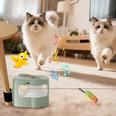 Remote Control Sound Pet Chasing Toy, Automatic Cat Teasing Toy - 4