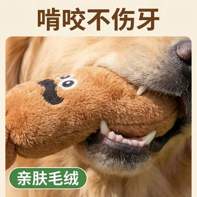 Plush Sausage Dog Toy, Squeaky, Sniffing