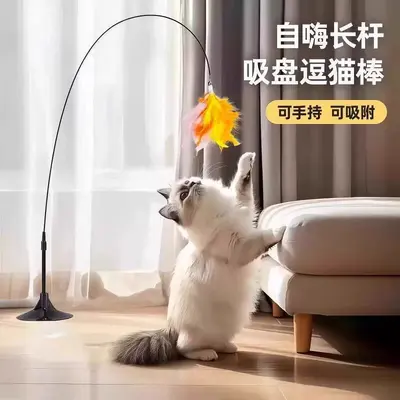 Vantuzlu Kedi Oyun Çubuğu, Çelik Tel, Yedek Tüy Başlık - 5
