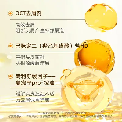 FICCECODE Feishikou Ingwer-Shampoo-Set, Volumen und Anti-Fett - 3