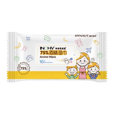 Mint Cooling Portable Wet Wipes for Summer - 12