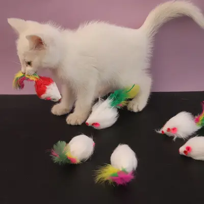 Kedi Oyuncak Fare Üreticisi Simülasyon Evcil Hayvan Peluş Fare Komik Kedi Oyuncak Toptan Kendi Kendine Mutluluk Rahatlatıcı Kedi Oyuncak - 5