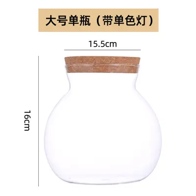 High Borosilicate Glass Hydroponic Plant Bottle, Desktop Vase and Betta Tank - 12