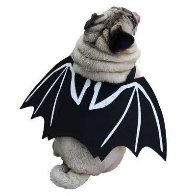 Bat Wing Halloween Costume for Pets, Dogs and Cats