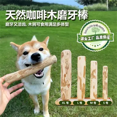Natural Coffee Wood Dog Chew Stick, Durable Teeth Cleaning Toy - 1