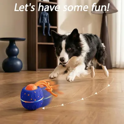 Smart Rechargeable Gravity Bouncing Dog Ball, ETPI Material, Cat and Dog Toy - 5