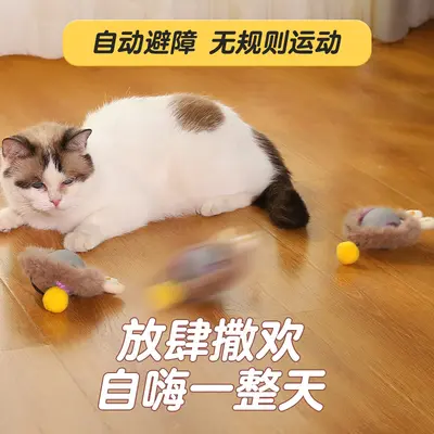 Isırmaya Dayanıklı Otomatik Kedi Oyun Topu, İplili Kendi Kendine Oynayan Zıplayan Top