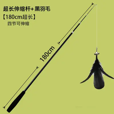CFA Wooden Handle Spring Cat Teaser Wand with Replaceable Feather Head - 13