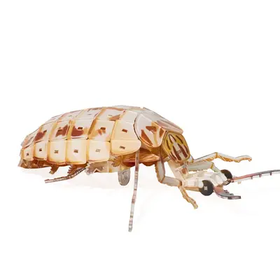 Acrylic 3D Insect Puzzle Model with Building Blocks - 10