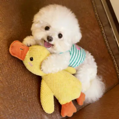 Squeaky Plush Yellow Duck Dog Toy for Small to Large Breeds
