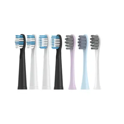 Replacement Toothbrush Heads for Sakypro Shuke, Compatible with G22/G23/G33/G32/T2 - 6