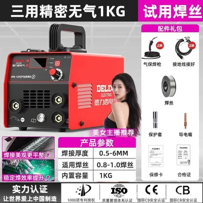 Delixi 220V Multifunction Gasless Welding Machine, Portable, Industrial Grade - 8