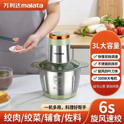 Wanlida portable meat grinder, automatic, stainless steel - 2