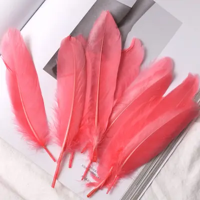 White Goose Feathers, Kindergarten Craft and DIY Jewelry Material - 10
