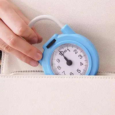 Portable Mini Hook Household Digital Spring Scale