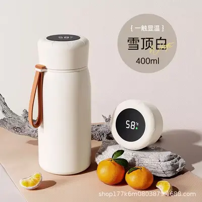 Large Capacity Stainless Steel Insulated Bottle, Portable, with Tea Infuser - 7