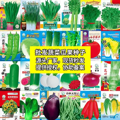 Four-Season Vegetable Seed Collection for Balcony and Garden, Fruit and Vegetable Seeds