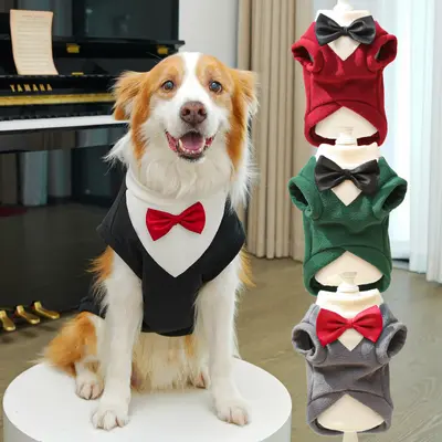 Herbst-Winter-Kleidung für große Hunde, Anzug für Golden Retriever und Corgi