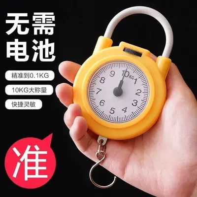 弹簧秤高精度手提称便捷式家用随身带小勾称小型手提多功能电子称