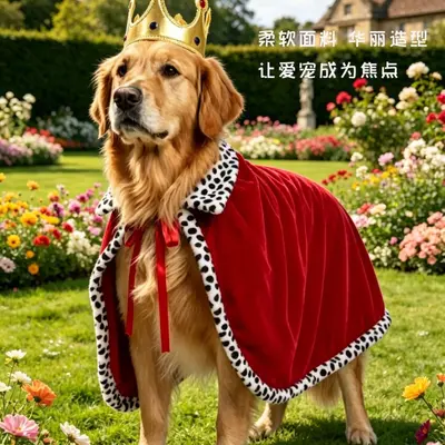 Evcil Köpek Kedi Kral Pelerini, Komik Parti Kostümü