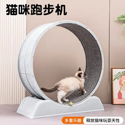 Sınır Ötesi Yeni Model Kedi Koşu Bandı Kedi Fitness Egzersiz Sessiz Büyük Boy Kedi Tırmalama Dayanağı Koşu Bandı Oyuncak Toptan