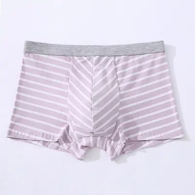 Pure Cotton Men's Boxer Briefs, 3D Seamless, Striped Print, Plus Size - 10