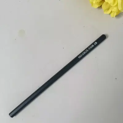 Kroki kalem sanat öğrencisi özel kroki kalem acemi kömür kalem seti 2b kalem ilkokul öğrencisi sanat boyama toplu - 13