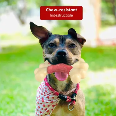 Bacon Flavor Double Bone Chew Dog Toy - 4